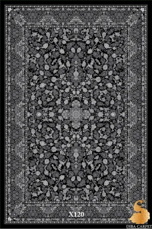 X120