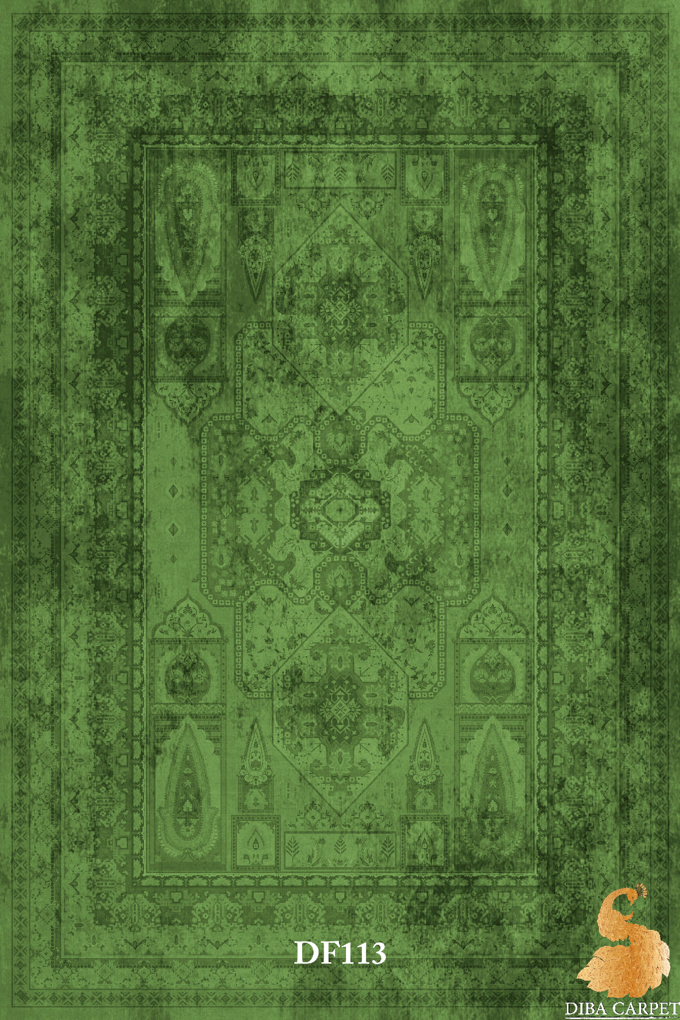DF113
